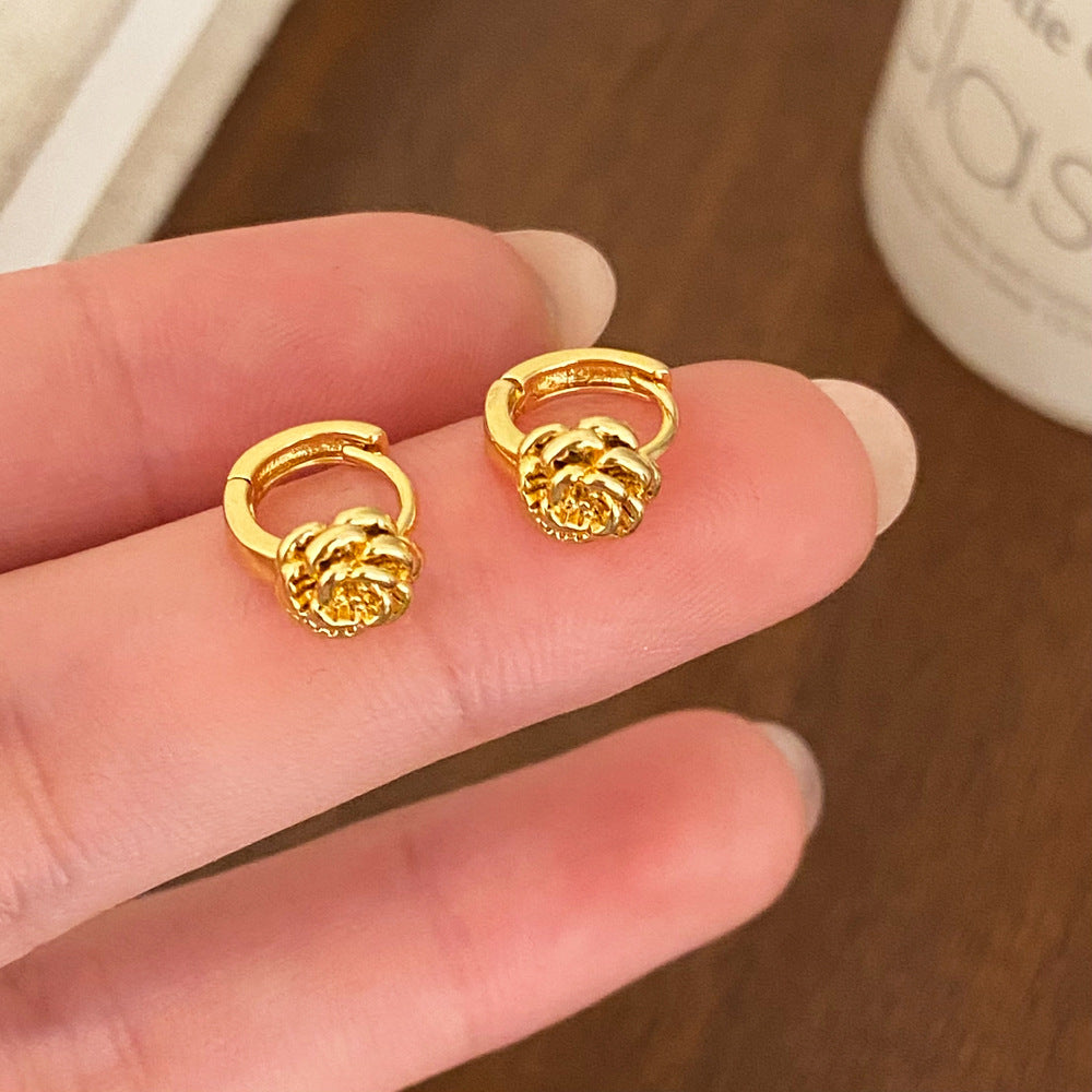 European and American metal ins style earrings, high-end light luxury, Amazon popular earrings, fashionable, simple and exquisite ear jewelry